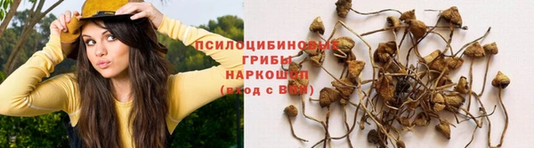 ECSTASY Лабытнанги