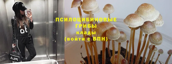 ECSTASY Лабытнанги