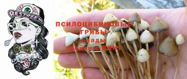 ECSTASY Лабытнанги