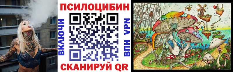 Псилоцибиновые грибы мицелий  Новотитаровская 